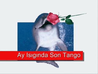 Rezan Çakır & AŞKIN ŞARABINDAN BİLMEDEN İÇTİM