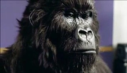 Cadbury Dairy Milk - Gorilla's Moment - 2007