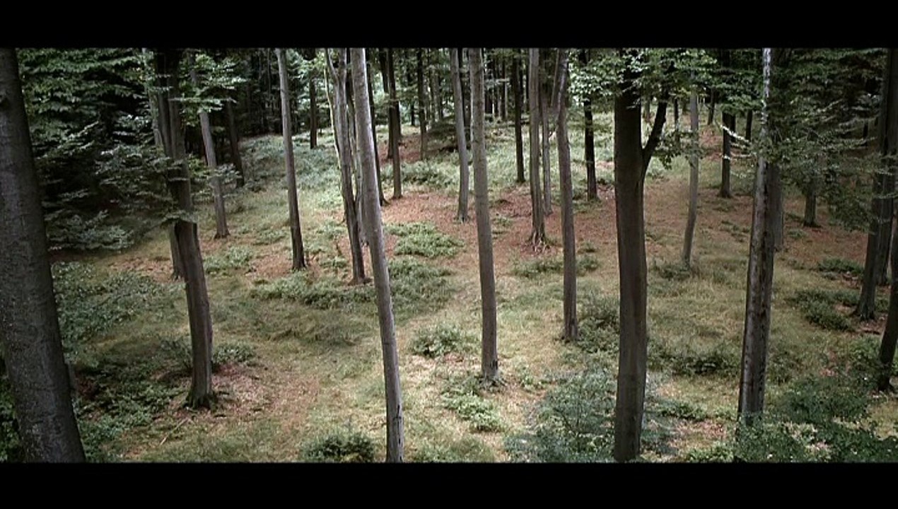 Bouygues Telecom - opérateur téléphonique - novembre 2010 - "Colère"