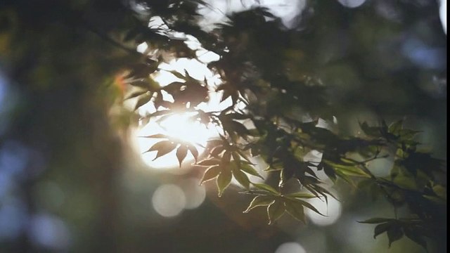 Amnesty International Korea - lutte pour le respect des droits de l'homme, Mobile Action - octobre 2011 - Human rights in your hands