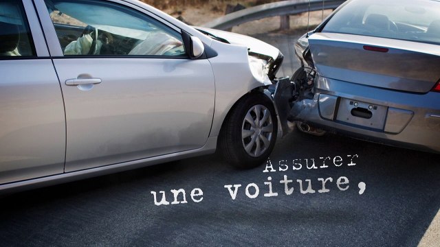 Assureurs Prévention - association de professionnels de l'assurance - janvier 2011 - L'assurance d'une vie plus sûre.