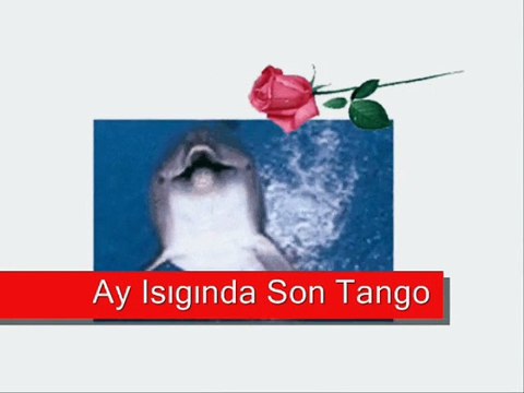 Ağlatan Ses Rezan Çakır & İşte Gidiyorum - 2015