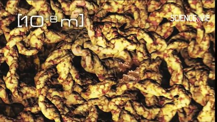 Science&Vie : Le grand zoom de tout l'Univers (version officielle HD)