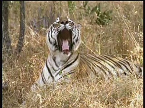 CLM BBDO pour PENTAX FRANCE