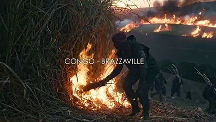Abbott Mead Vickers BBDO (AMV BBDO) pour Guinness - bière, "Sapeurs" - janvier 2014