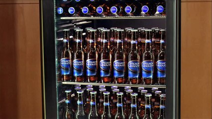 Bud Light - bière - février 2011 - "Dog sitter"