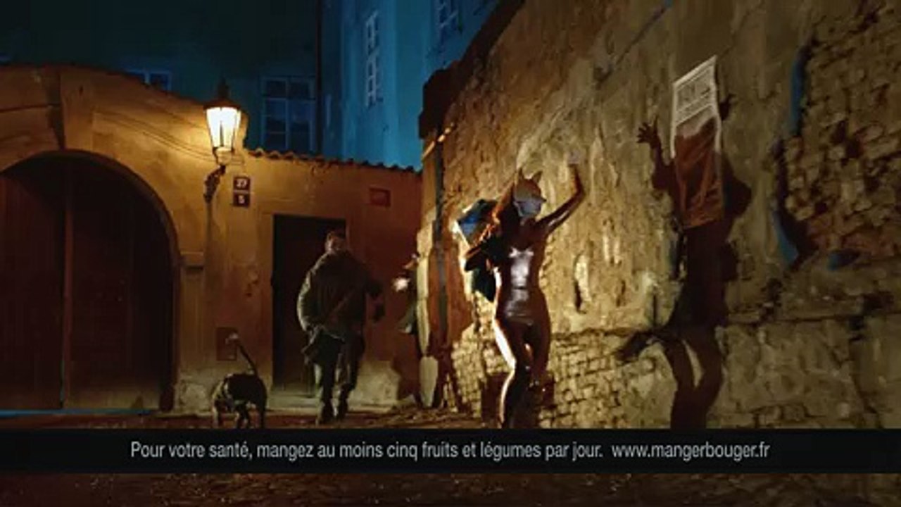 Bordeau Chesnel - rillettes de poulet rôti, "La renarde" - février 2012