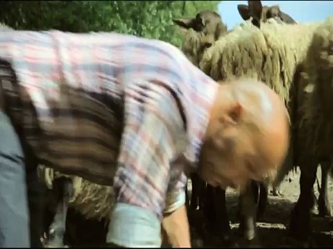 Canal + - chaîne de télévision, Platane, avec Eric Judor - août 2011 - kit