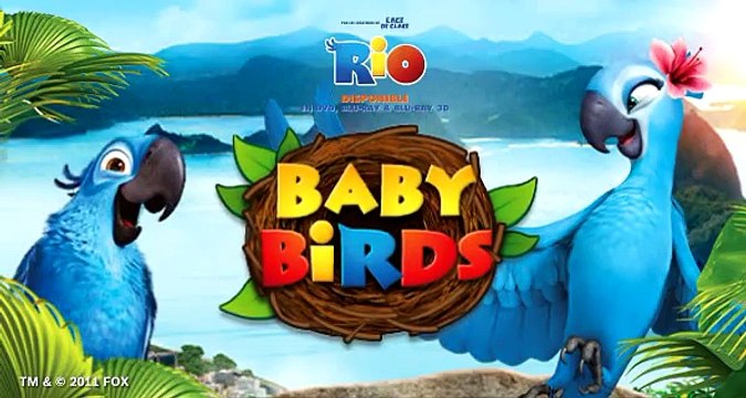 Bosch Electroménager - électroménagers, Baby Birds, facebook.com/BoschHomeFrance - octobre 2011 - Jeu Bosch Rio Baby Birds