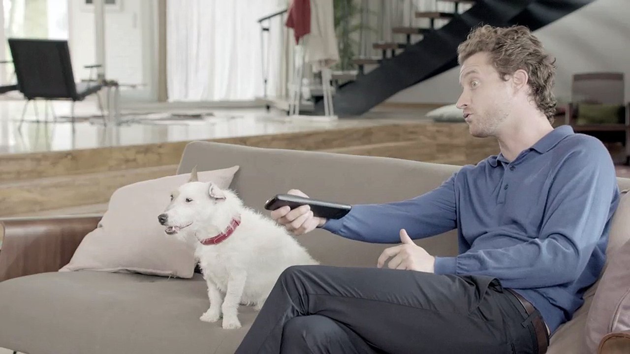 Canalsat - bouquet de chaînes de télévision, "Canalsat. Regardons mieux." - septembre 2011 - "Chien"