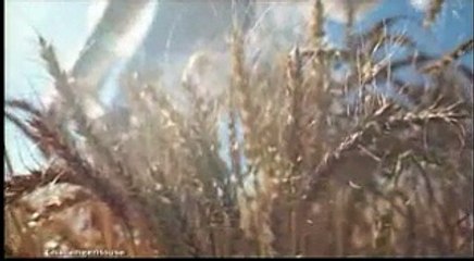 CHALLENGER HOUSE pour FRANCE QUICK