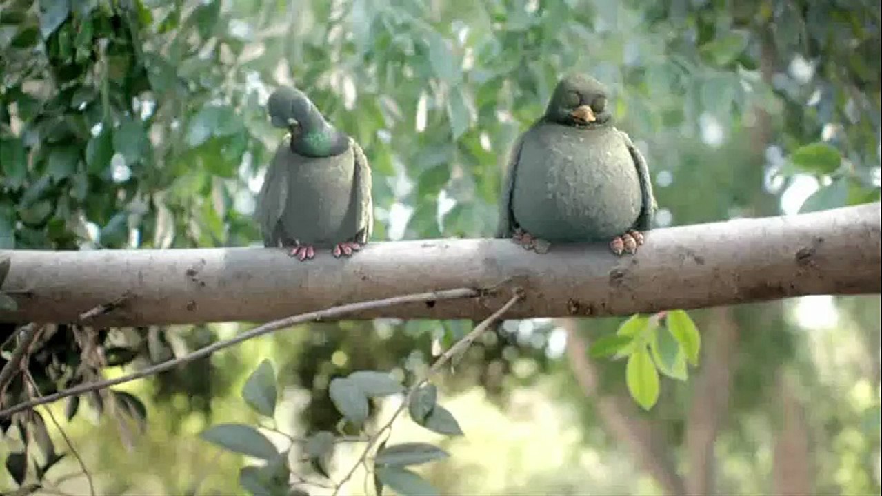 Bituach Yashir - assurance automobile, "Road, Tree, Window" - novembre 2012 - Tree