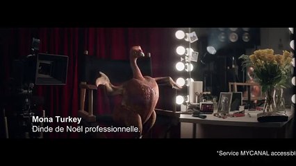 BETC pour Canalsat - bouquet de chaînes de télévision, «La dinde Mona Turkey, My Canal» - novembre 2014