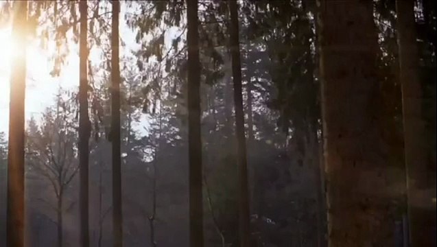 Daimler - voiture Mercedes Benz W212 E-clas - mai 2010 - Sorry