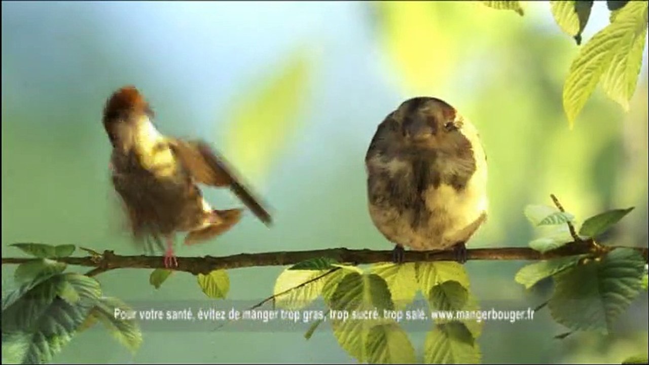 Campaillette - baguette des Grands Moulins de Paris - octobre 2009 - "Les moineaux"