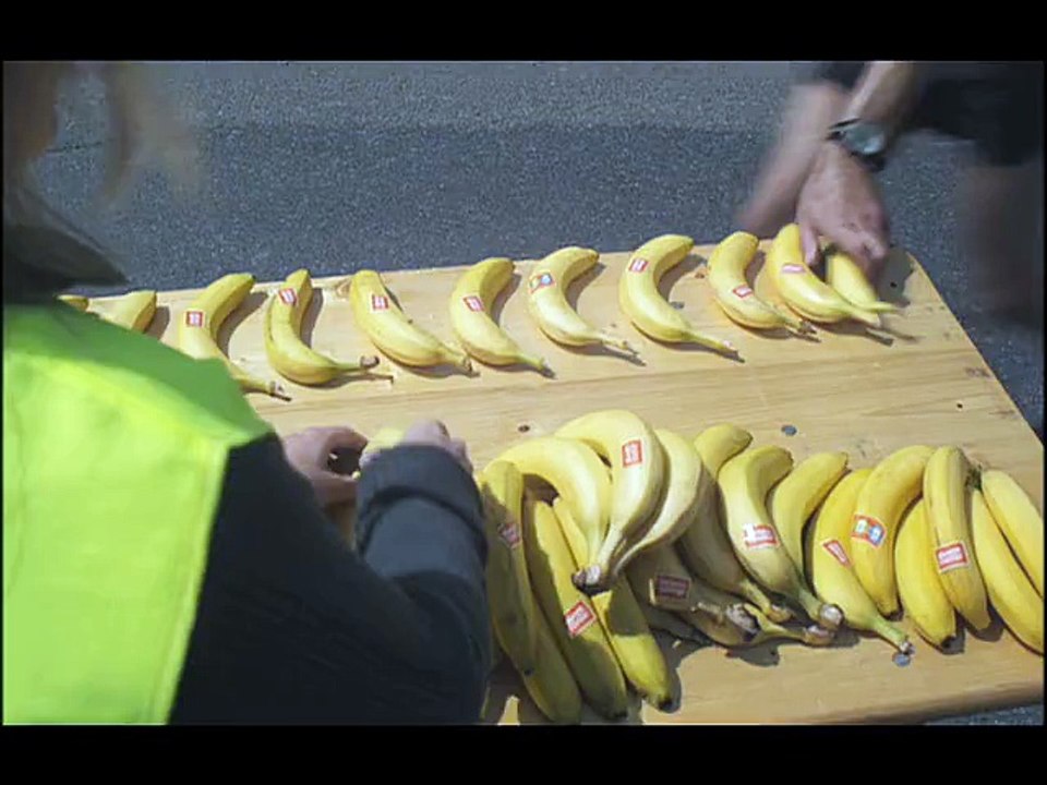 Banane de Guadeloupe et Martinique (UGPBAN, Union des groupements de producteurs Banane) - banane - septembre 2009 - "Marathon"