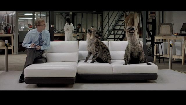 Cuir Center - canapés et fauteuils, Torture tests - septembre 2012 - Hyènes rieuses