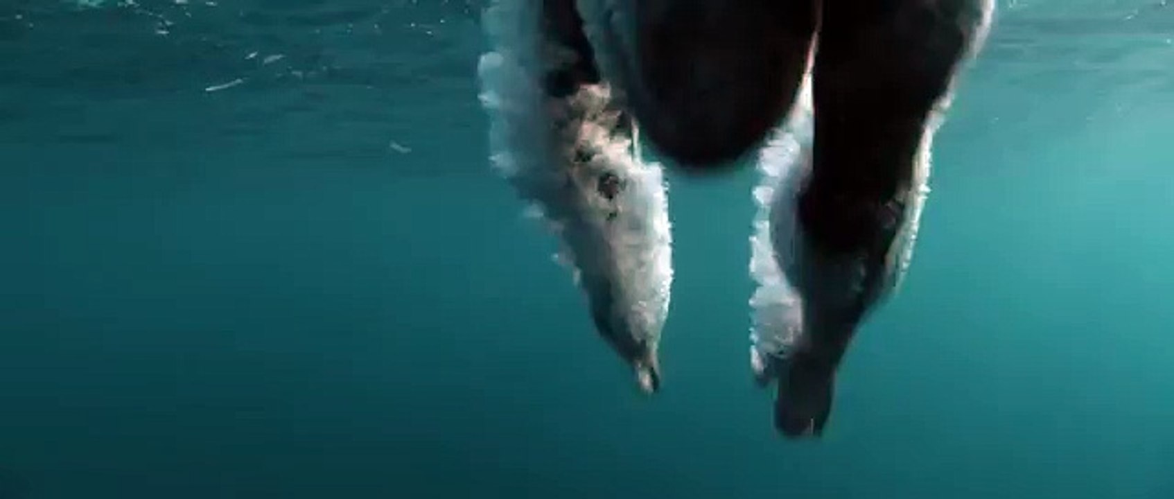 Amnesty International - défense des droits humains, "Marathon des signatures" - décembre 2012