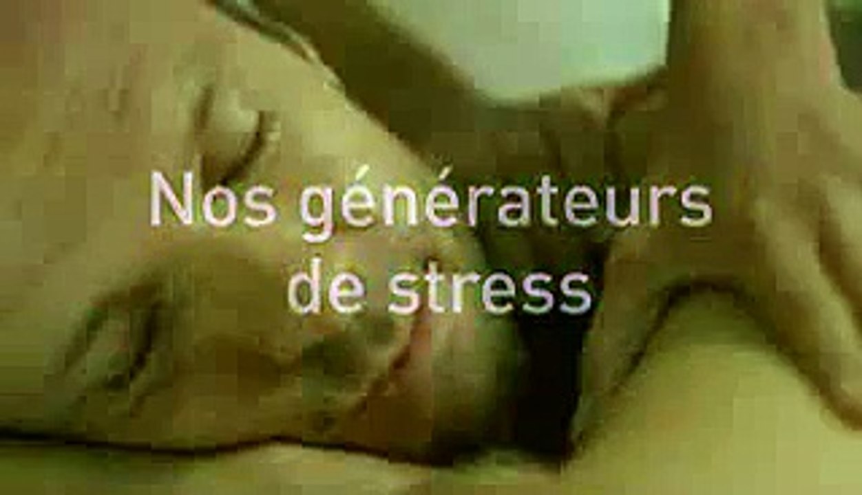 Center Parcs - séjours - janvier 2009 - "Rapprochons-nous", Nos générateurs de stress