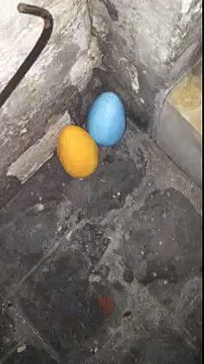 Born to run pour Haribo - bonbons Croco, "Invasion Croco" - avril 2014 - soir