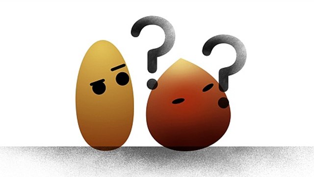 CNDP Canopé, La Générale de Production pour CNCDH - défense des droits de l'homme, «Graines de citoyens» - novembre 2014 - différences