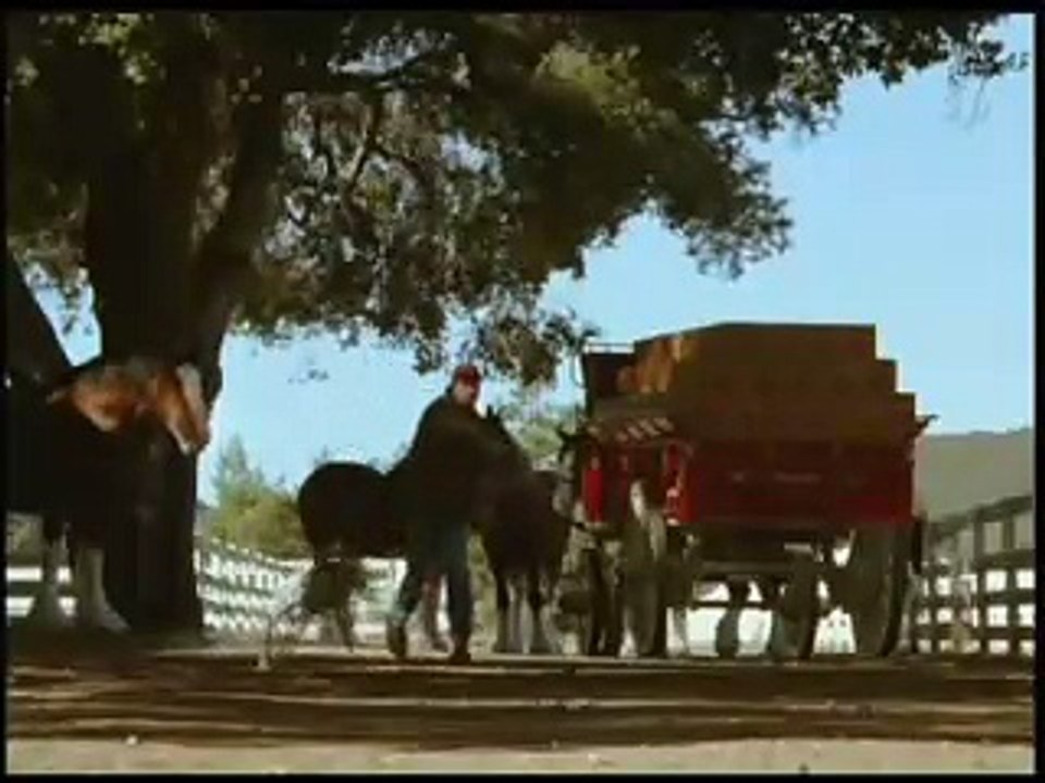 Anheuser-Busch - bière Budweiser - février 2009 - "Stick", chien