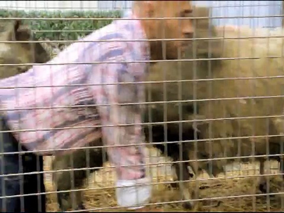 Canal + - chaîne de télévision, "Platane, avec Eric Judor" - août 2011 - voisins voisines