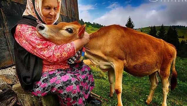 NESLİHAN BALTACI GAYRI DAYANAMAM BEN BU HASRETE..MİNİK IŞILAY ANNE ŞİİRİ