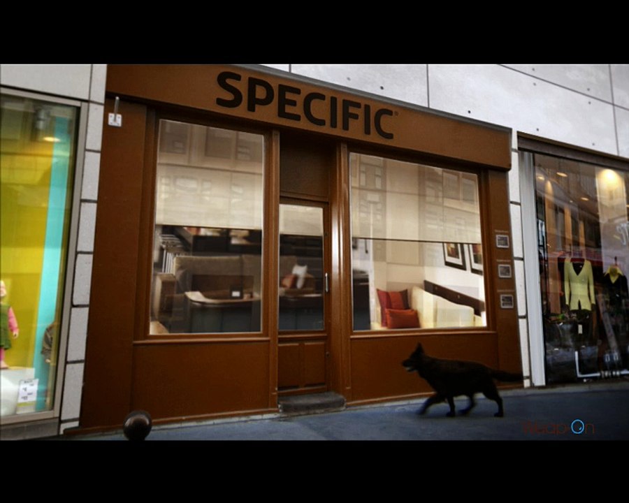 Dechra France - Specific, nourriture pour chiens - décembre 2008 - "Warf else ?"