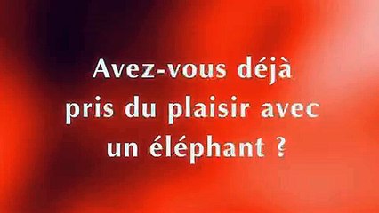 Eléphant - tisane - octobre 2009 - "Quel effet l'Eléphant !", Infusions Parfumées, Framboise Pamplemousse