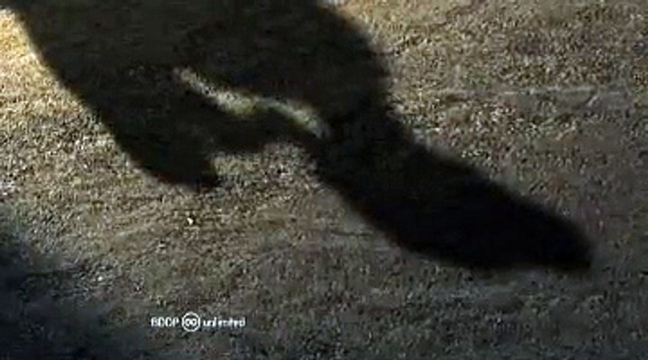 Fondation Abbé Pierre - lutte contre le mal-logement - décembre 2009 - "Les Ombres"