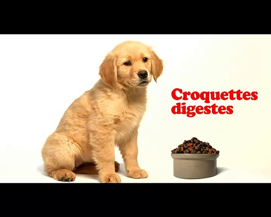 Fonds national de promotion et de communication de l'artisanat (FNPCA) - artisanat, "Chopez les virus de l'Artisanat" - juin 2011