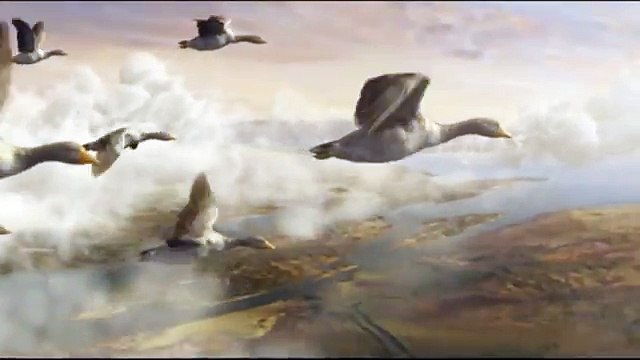 Française des Jeux (FDJ) - jeu Keno, Nouveau Keno gagnant à vie, Les oies - février 2013 - Des pépètes à perpèt'