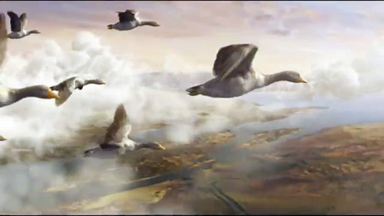 Française des Jeux (FDJ) - jeu Keno, "Nouveau Keno gagnant à vie, Les oies" - février 2013 - "Des pépètes à perpèt'"