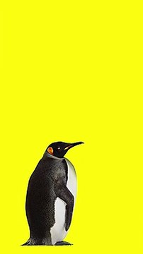 Gabriel pour France Info - radio d'informations, «Le réflexe info» - octobre 2014