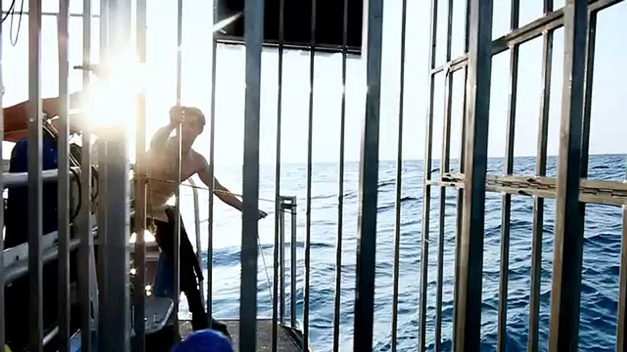 Gillette (Procter & Gamble) - rasoirs, "Shark" - août 2011