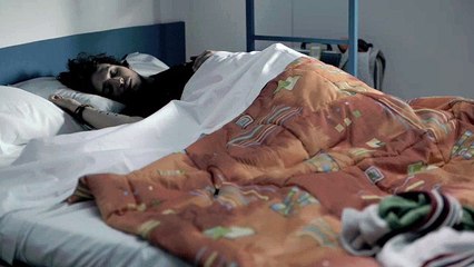 Ibis (groupe Accor) - hôtels, "Sleep Art, La famille Ibis" - septembre 2012 - transformation, Ibis Budget