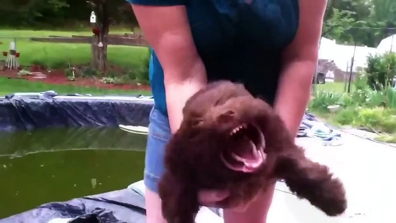 ПРИКОЛЫ 2015, Прикол, Угарная подборка приколов, приколи, Ржака до слез, жесть