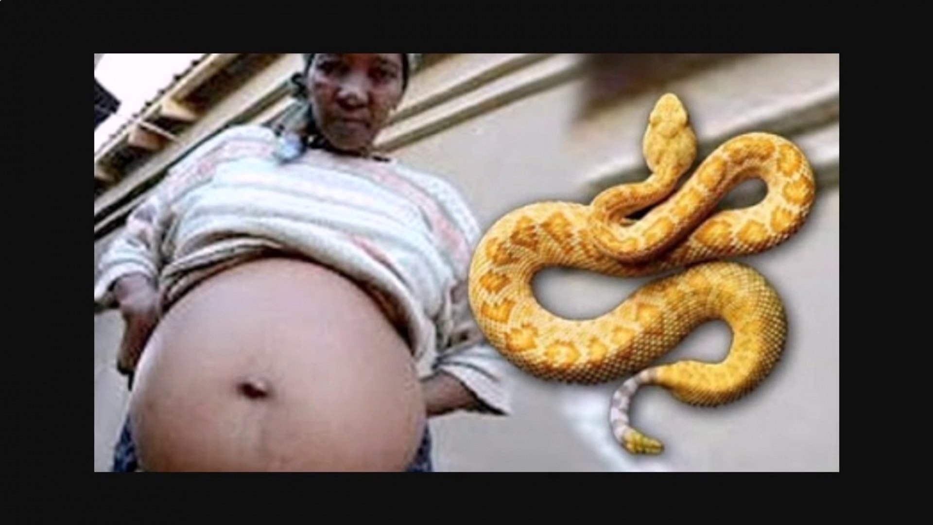 Pregnant Snake Giving Birth