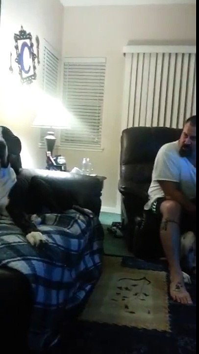 Funny Videos _ Facebook[1]