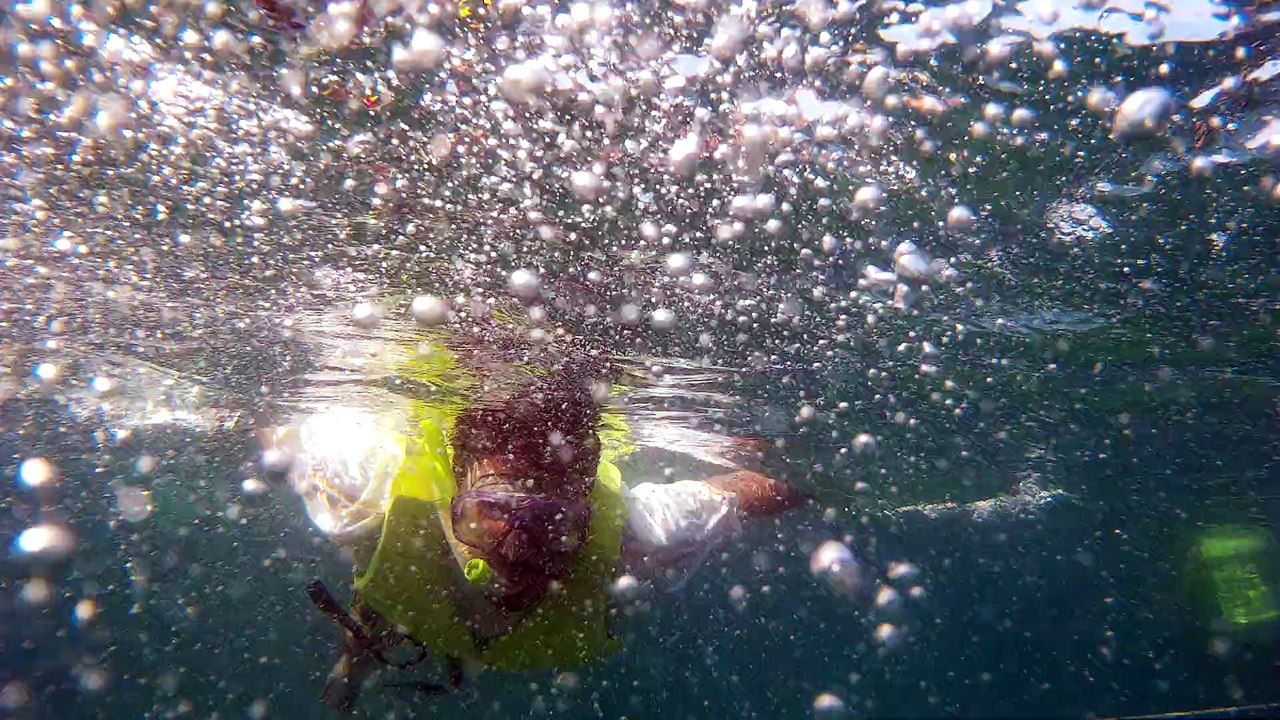 Snorkeling With Pas Scuba