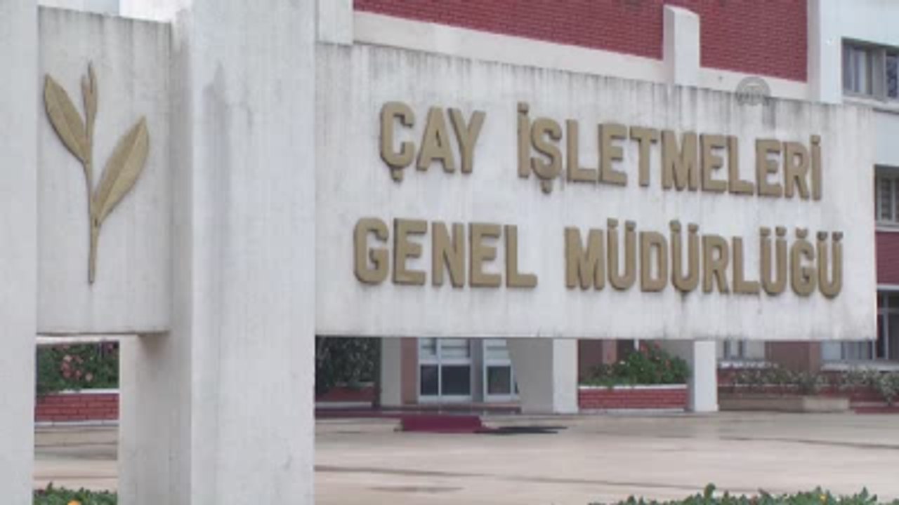 Sütlüoğlu: "Yeni Çay Sezonunda 3 Bin 500 İşçi Alınacak"