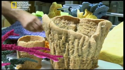 ‫وثائقي - فنانوا أحواض السمك - أحواض هائلة ممتلئة HD‬‎