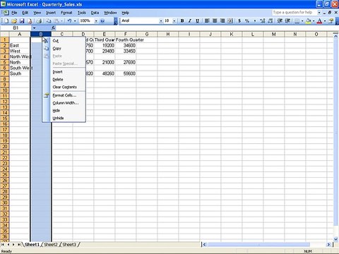 Ms Excel 2003 Training- insert and delete (Part 10)