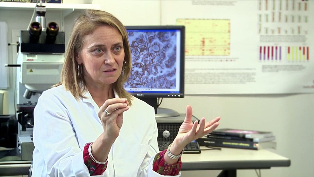 Institut National du Cancer (Inca) - lutte contre le cancer, "Recherche sur les cancers, tout s'accélère" - janvier 2012 - Webdocumentaire