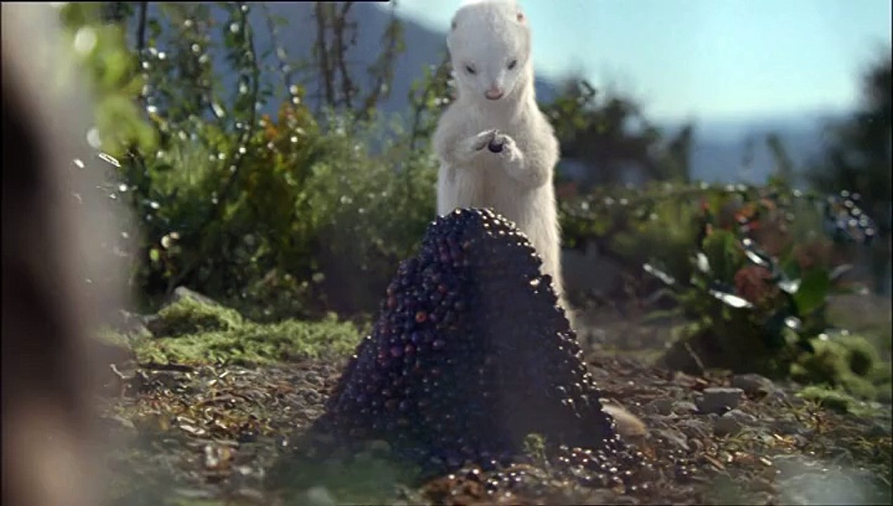 Française des Jeux - OXO - mars 2009 - "Oxo, on peut gagner maintenant et plus tard, et plus tard et maintenant.", Les baies"