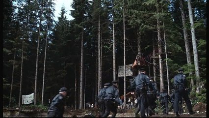 HSBC - Différence de valeurs - novembre 2008 - "Chacun accorde une valeur différente à ce qui l'entoure." - Bûcheron, écologiste.