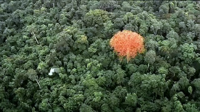 Hermès - parfum - mars 2010 - Voyage d'Hermès