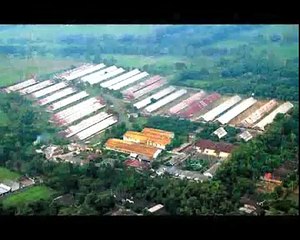 Greenpeace Indonésie - lutte pour la reconstruction après une éruption volcanique - mars 2011