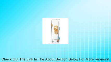 [Box of 24] Sunset SAN 14 oz. (14 oz. Rim-Full), 2.5" Tom Collins, 7" Tall Review